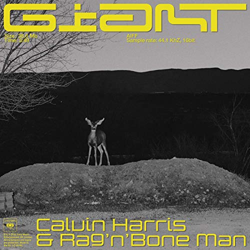 Giant – Calvin Harris & Rag’n’Bone Man – Testo e Traduzione