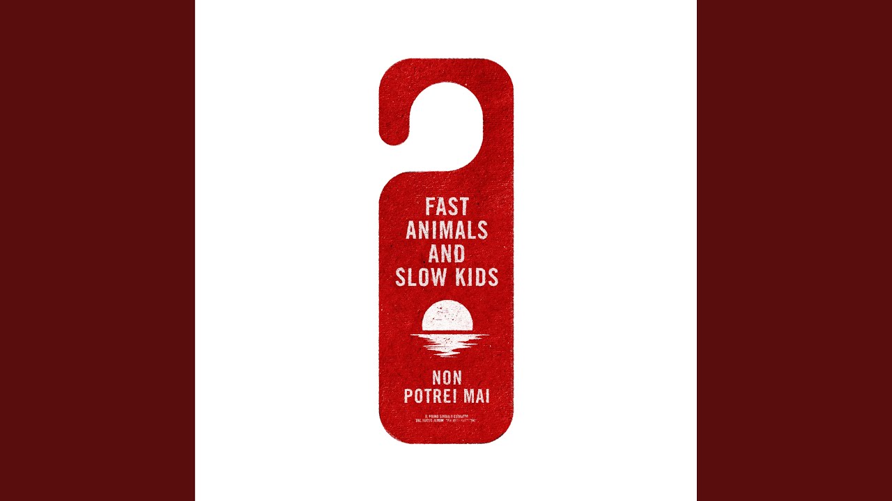 Non potrei mai – Fast Animals and Slow Kids – Testo